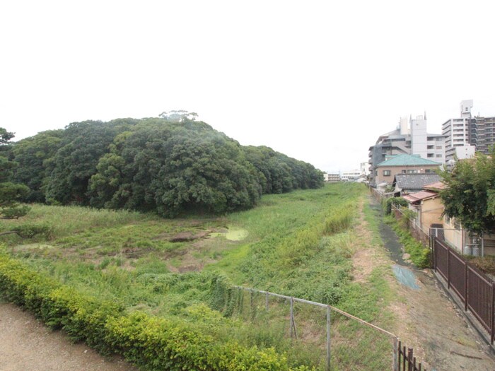 室内からの展望 コーポ津守