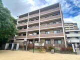 アルファリラ