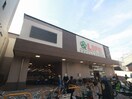 ライフ四条大宮店(スーパー)まで220m プリマ－ド松伊