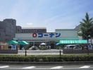 コーナン(電気量販店/ホームセンター)まで420m マレッタ京都天神川