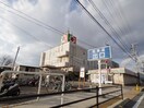 イズミヤ(ショッピングセンター/アウトレットモール)まで320m ル・マインハウス