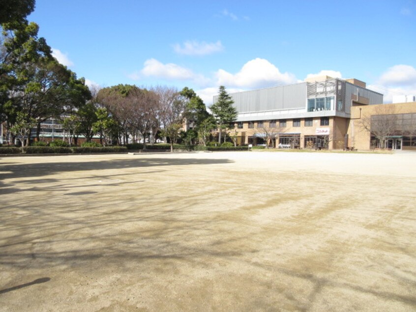 豊島野公園(公園)まで600m パロス池田住吉