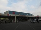 コーナン(電気量販店/ホームセンター)まで927m ボンジュール西九条