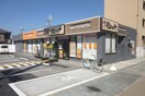 松のや松原店(その他飲食（ファミレスなど）)まで800m 小川様貸家