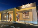 ジョイフル加東店(その他飲食（ファミレスなど）)まで237m カモミールⅠ