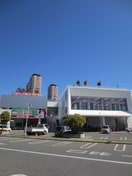 Bears(ベアーズ)(ショッピングセンター/アウトレットモール)まで53m ルミエールハイツ守口