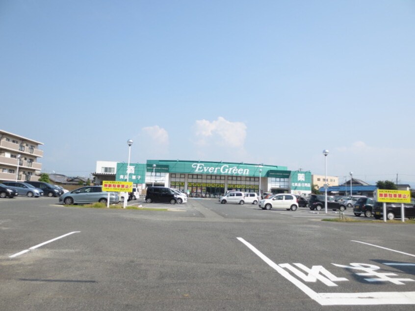 エバーグリーン(スーパー)まで669m サンシティ－西大路