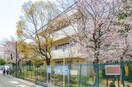 吹田市立第一中学校(中学校/中等教育学校)まで583m エルデン緑地