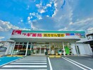 スギ薬局 寝屋川成美店(ドラッグストア)まで553m 平田マンション