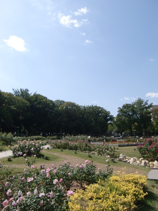 靱公園(公園)まで900m カスタリアタワー肥後橋