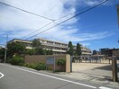 鳴尾小学校(小学校)まで450m BOWER-PLACE