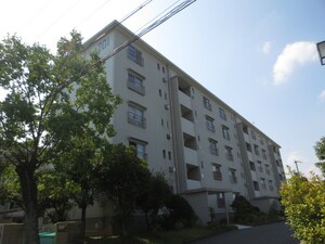 男山第3住宅201棟（306）