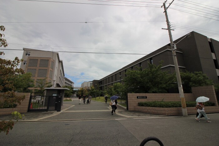 関西大学堺キャンパス(大学/短大/専門学校)まで160m フィオーレ香ヶ丘