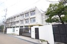 金岡中学校(中学校/中等教育学校)まで350m ニードハイツ杉原