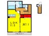 アムールアミュレット 1LDKの間取り