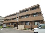 ﾓｱﾚ　ｵｰｸﾗ