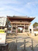 葛井寺(公園)まで10m 新栄プロパティ－藤井寺