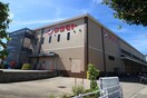 マツモト(スーパー)まで770m コ－ポ石田