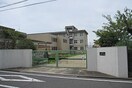 沢池小学校(小学校)まで1070m 三幸フェニックス