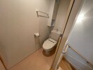 トイレ 花のワルツ嵯峨
