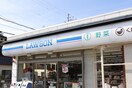 ローソン(コンビニ)まで800m 花のワルツ嵯峨