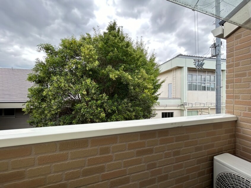 室内からの展望 Ｎａｔｕｒａｌ－ｍａｉｓｏｎ