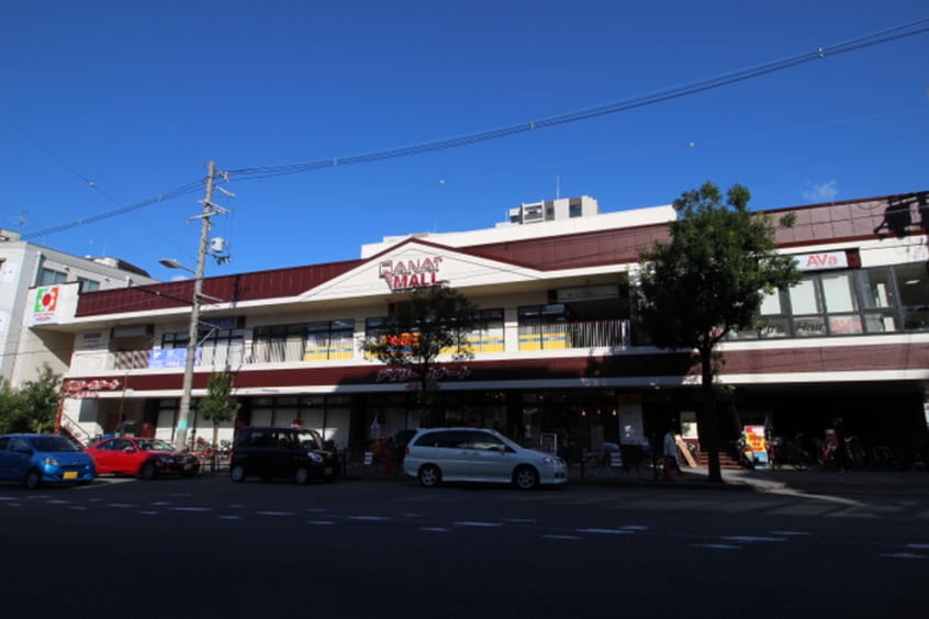 デイリーカナート(スーパー)まで600m プライマリィＫ