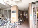 エントランス部分 タウンコート