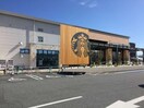 スターバックス(カフェ)まで700m シャルマンイワイ