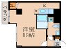アマルフィ山科 1Kの間取り