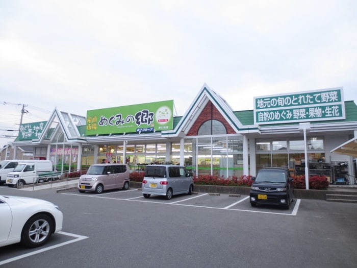 めぐみの郷(スーパー)まで950m パークイーストⅣ
