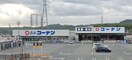 コーナン(電気量販店/ホームセンター)まで260m 山崎ハイツ１