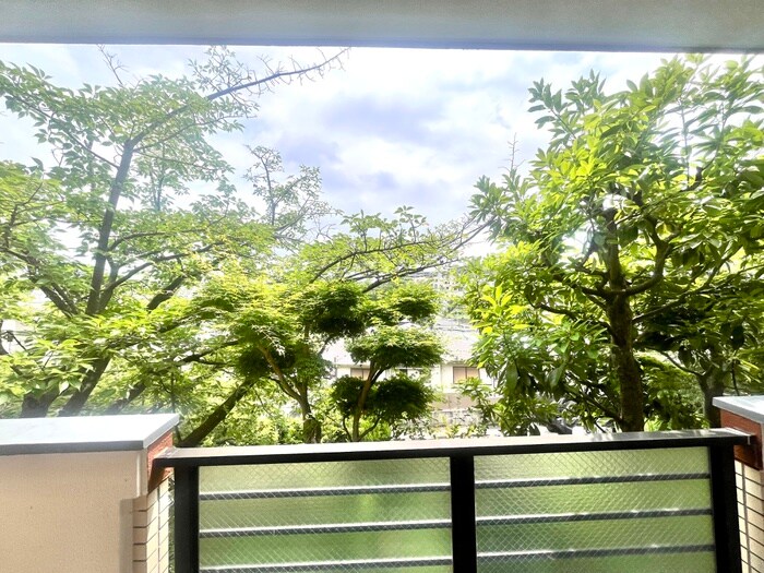 室内からの展望 ヒルサイドテラス甲陽園