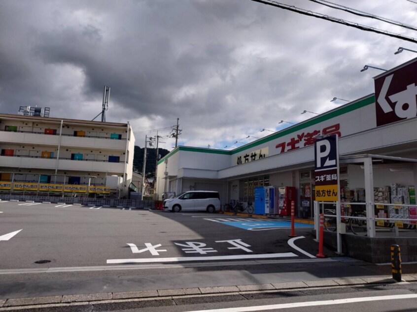 スギ薬局(ドラッグストア)まで1355m リバーサイド 車田