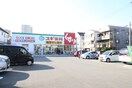 スギ薬局南住吉店(ドラッグストア)まで500m CASSIA南住吉