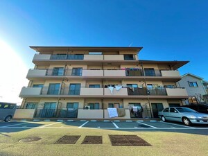 アグラード黄檗