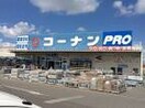 コーナン(電気量販店/ホームセンター)まで1100m クロ－バ－