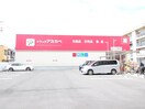 ドラッグアカカベ　中川店(ドラッグストア)まで550m コスモス