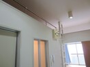 ロフト ベルベデール