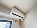 内観写真 ベルベデール