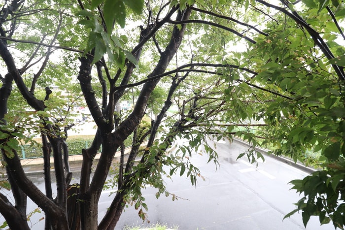 室内からの展望 パークショア瀬田