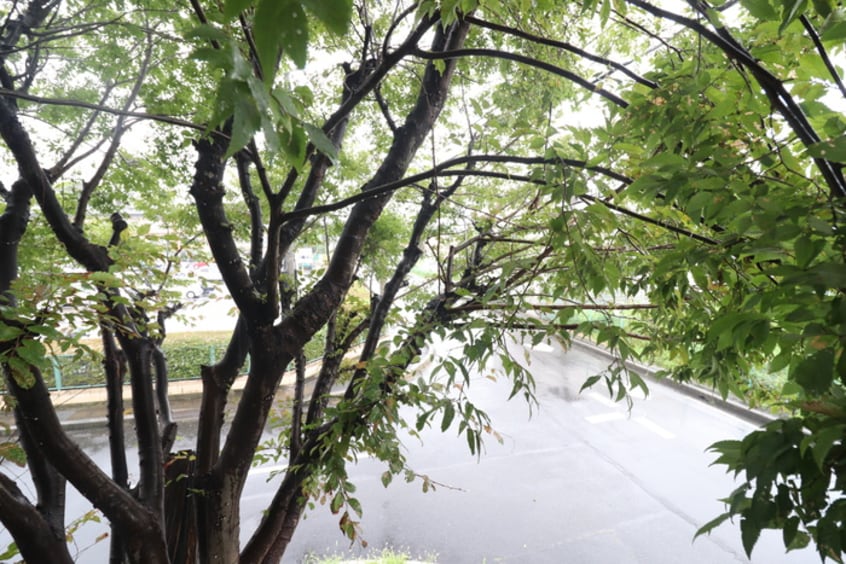 室内からの展望 パークショア瀬田