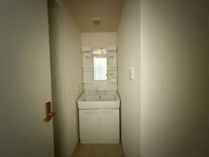 洗面 聚楽荘立花