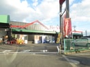 酒のＡＢＣ(ディスカウントショップ)まで1160m ブラウ　ツリー蔵前