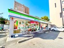 ファミリーマート南田辺店(コンビニ)まで260m パラツェット