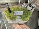 その他 オーク玉田