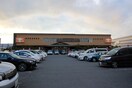 MOVIX堺(映画館)まで4800m RIHITO堺