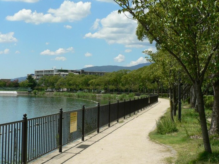 瑞ケ池公園(公園)まで450m アビタシオン　アールデコ