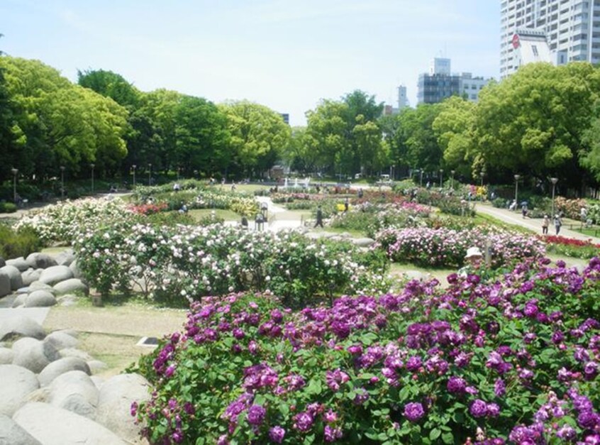 ばら園(公園)まで600m ミア・カ－サあわざ