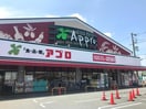 アプロ沢良宜店(スーパー)まで3000m ハイツオーキタ目垣